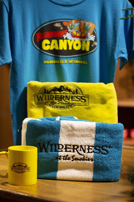 Wilderness at the Smokies Stone Hill Lodge - Image 36