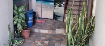 Hostal Miconia