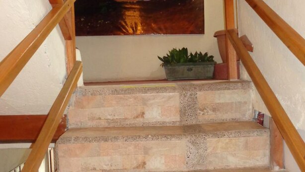 A staircase with wooden handrails and a potted plant on the landing. - Hostal Miconia (Puerto Ayora)