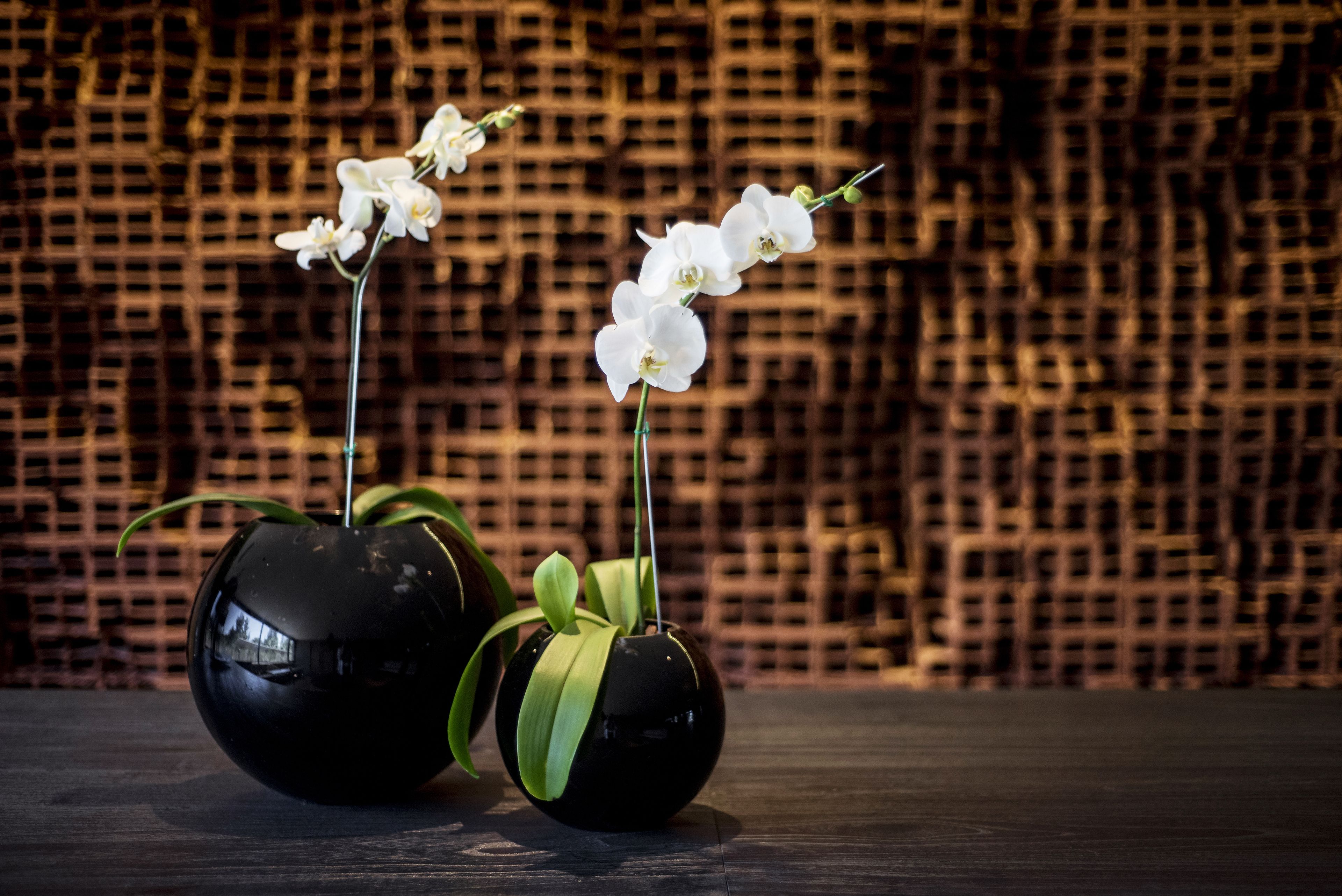Dos jarrones negros esféricos con orquídeas blancas, sobre una superficie oscura frente a un fondo tejido.