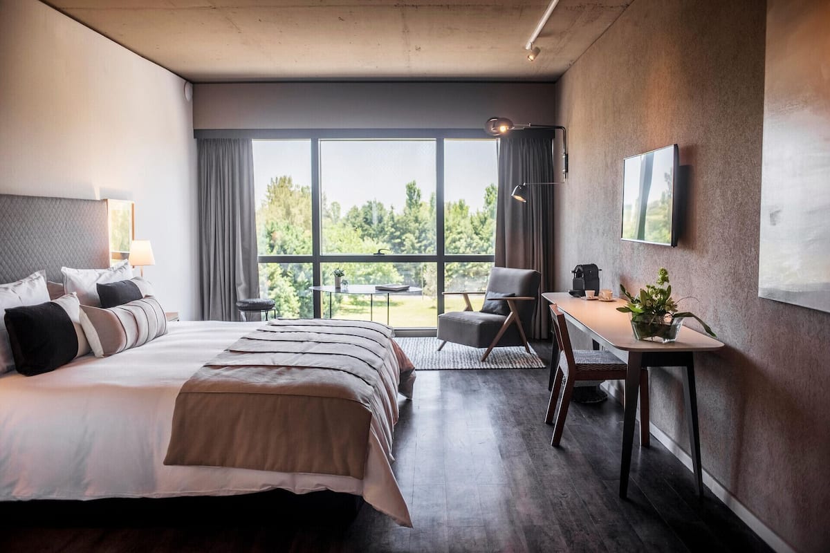 A modern hotel room with a large bed, a desk, a chair, a small table, a potted plant, and a view of greenery outside.