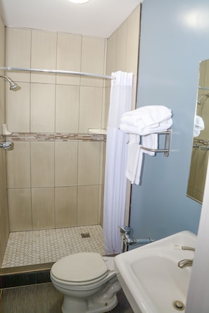 Deluxe Oda, 1 Büyük (Queen) Boy Yatak | Banyo duşu