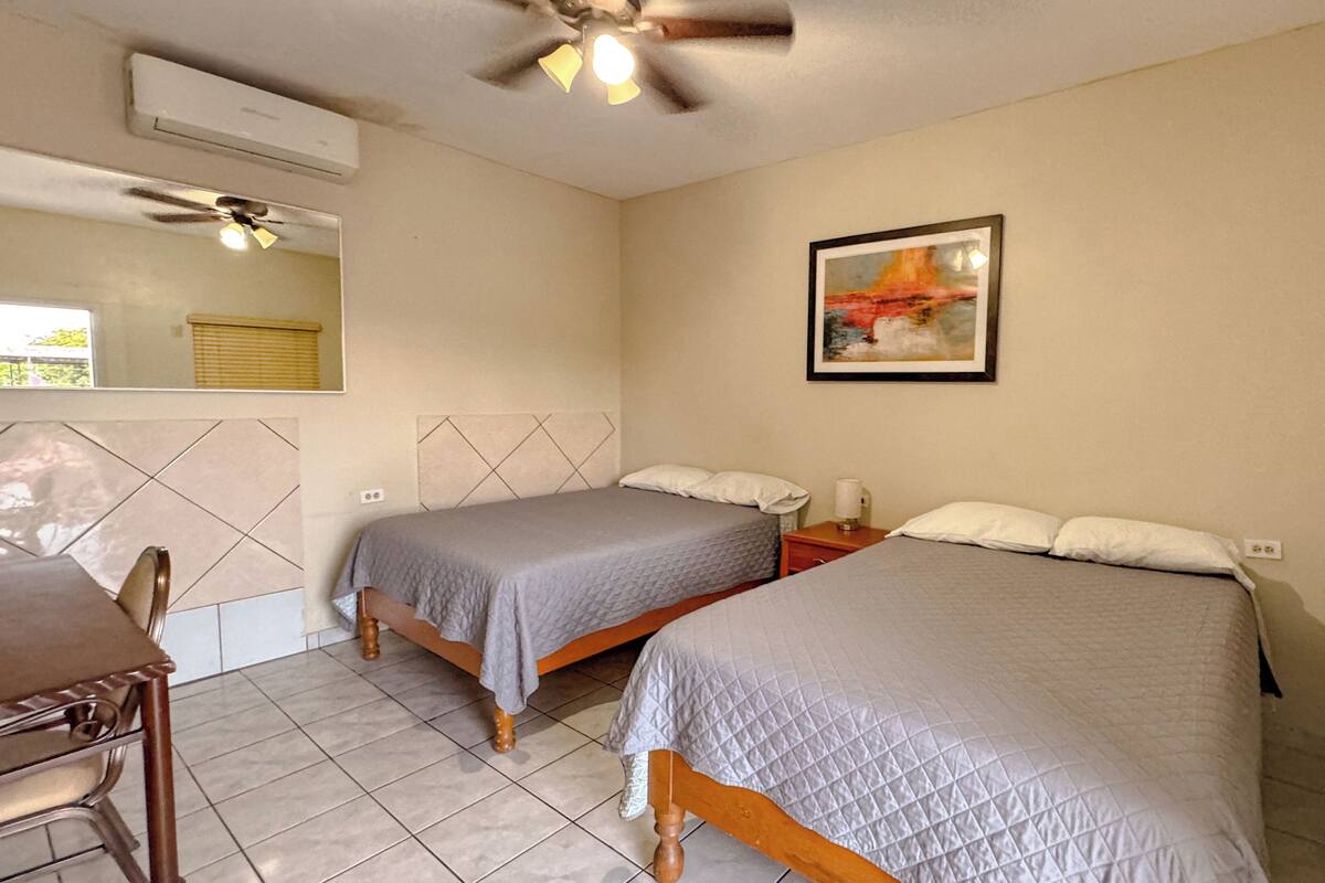 A bedroom with two beds, a desk, and a chair.
