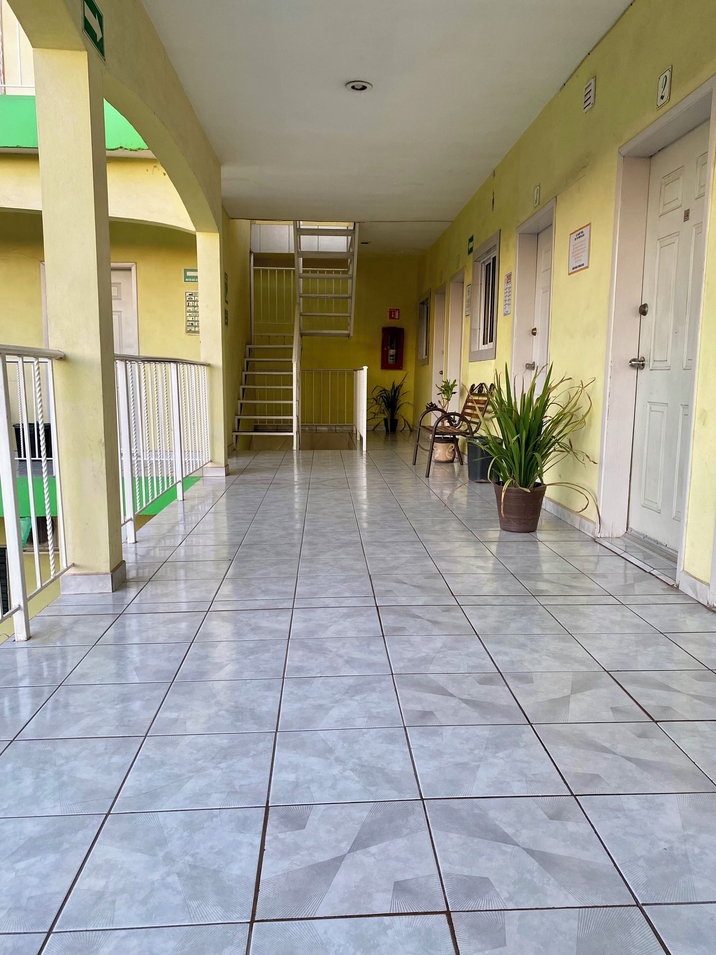 Un pasillo limpio, con baldosas, una escalera, plantas en macetas y puertas a un lado.