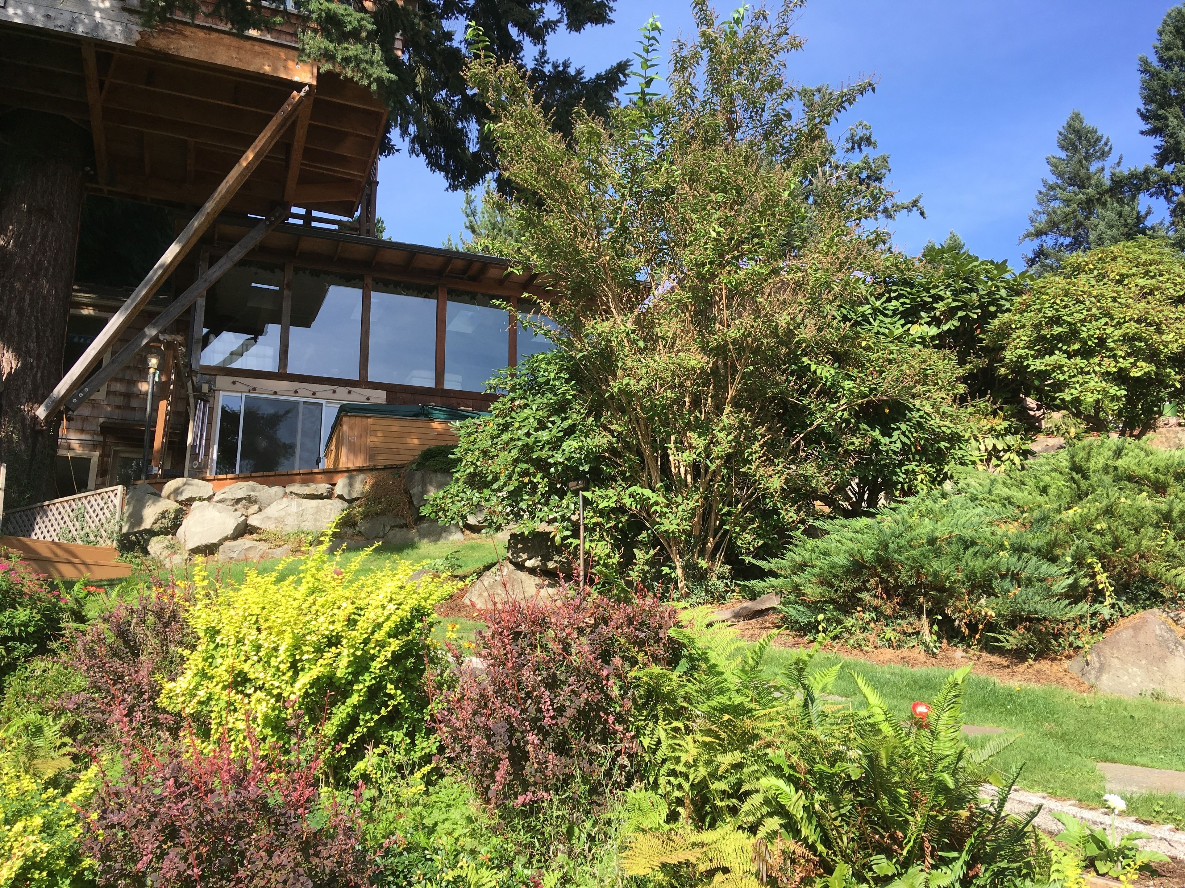 A modern house with a large glass window, surrounded by lush greenery and a well-maintained garden.