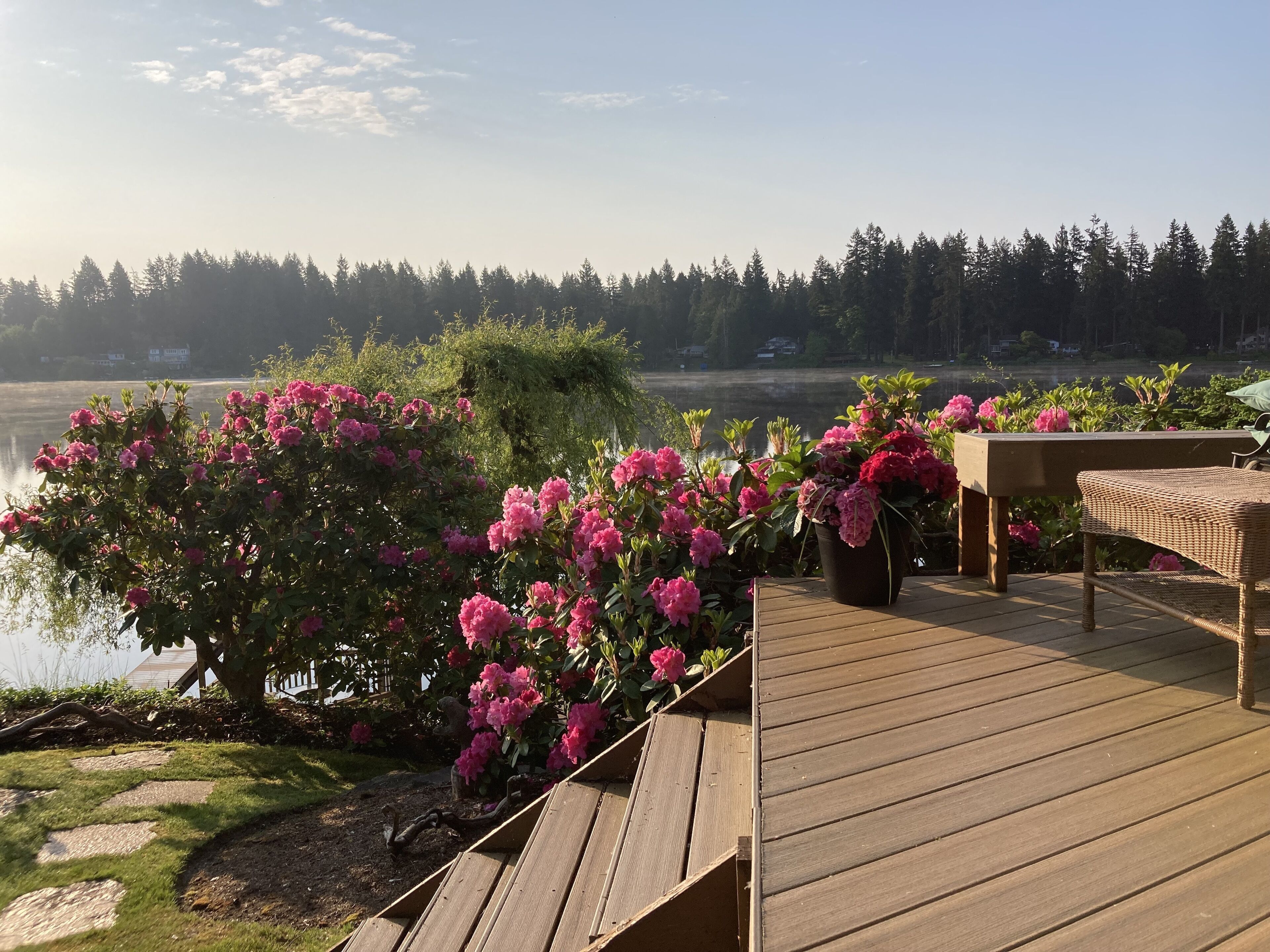 Een houten terras met een rieten stoel, omringd door roze bloemen en uitzicht op een meer en bos.