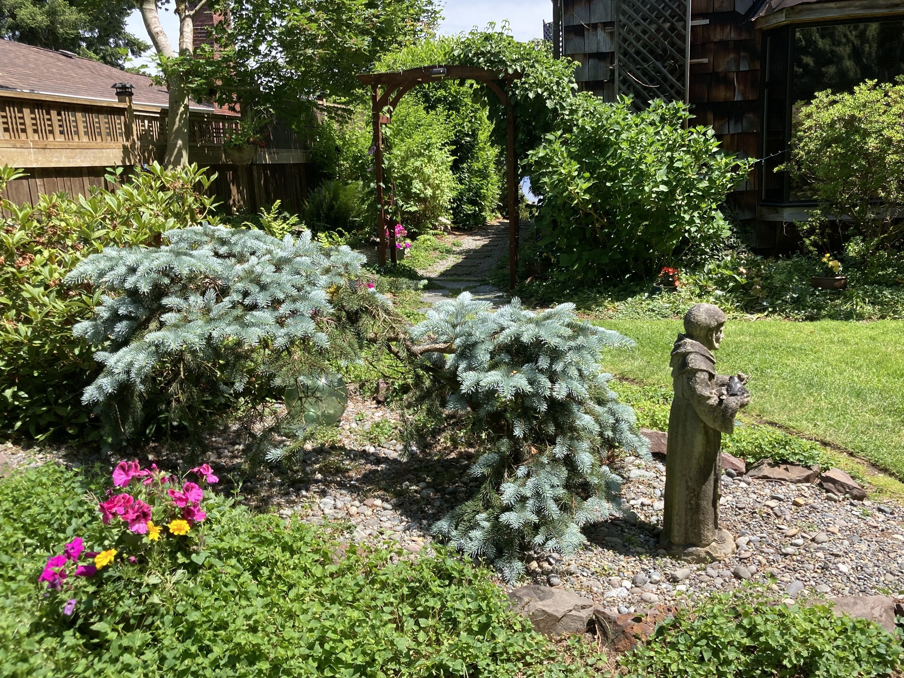A garden with a statue, a wooden pergola, and various plants.