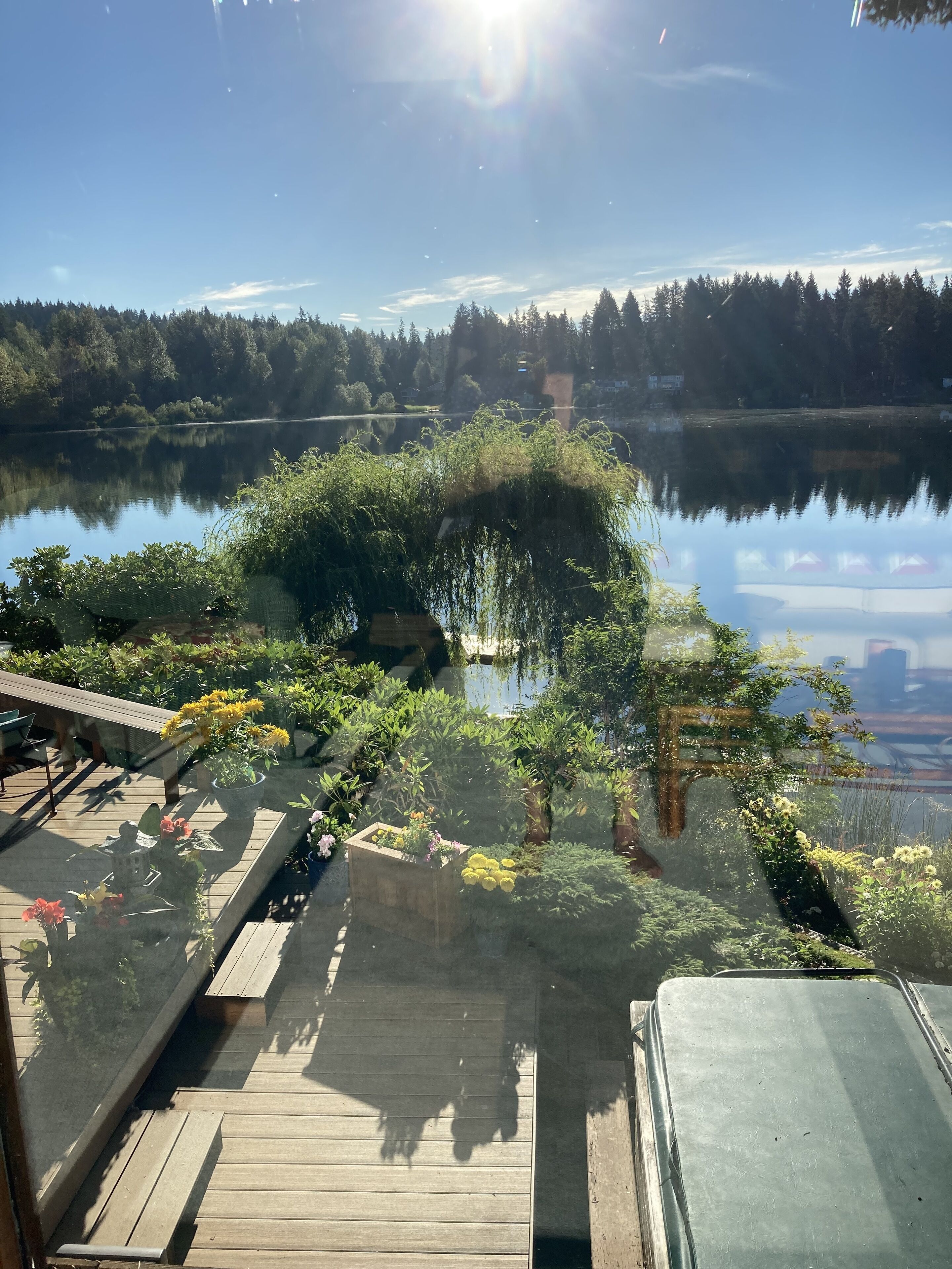 A wooden deck with potted plants and a view of a calm lake surrounded by trees.