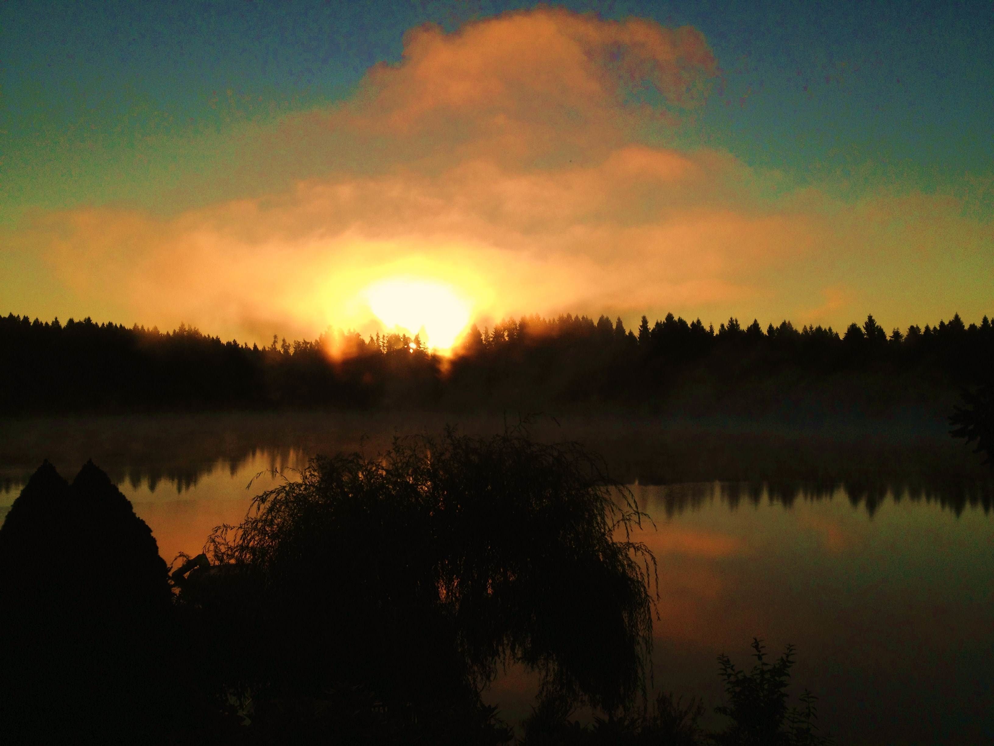 A serene sunrise over a calm lake with a forest in the background.