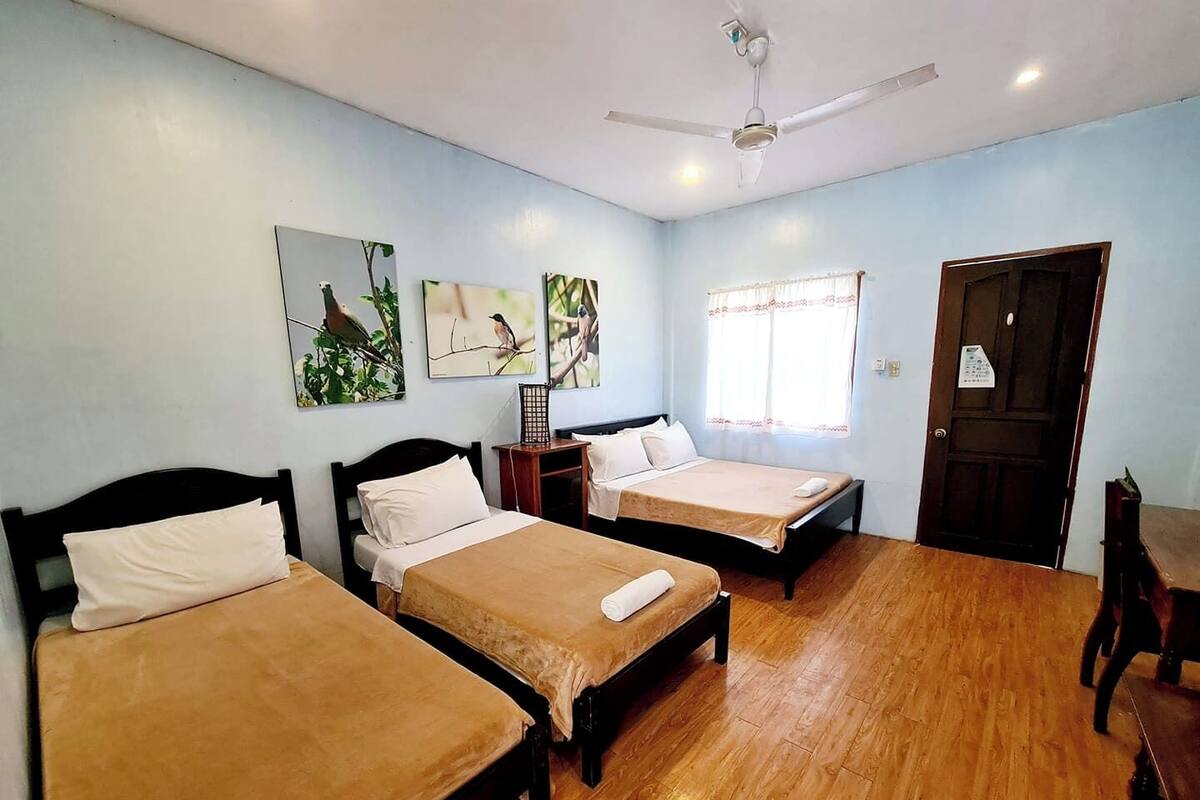 A room with three single beds, a ceiling fan, and two wall-mounted bird paintings.