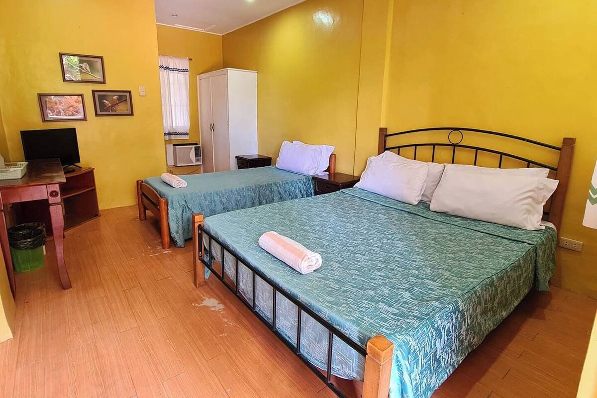 A room with two beds, a television, a wardrobe, and a small table.