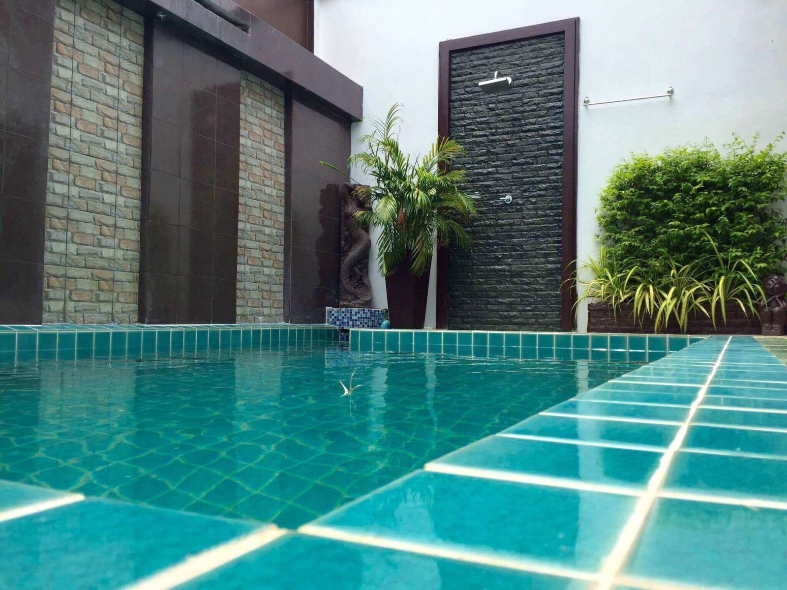 A swimming pool with a tiled edge, a stone wall with a door, and potted plants.