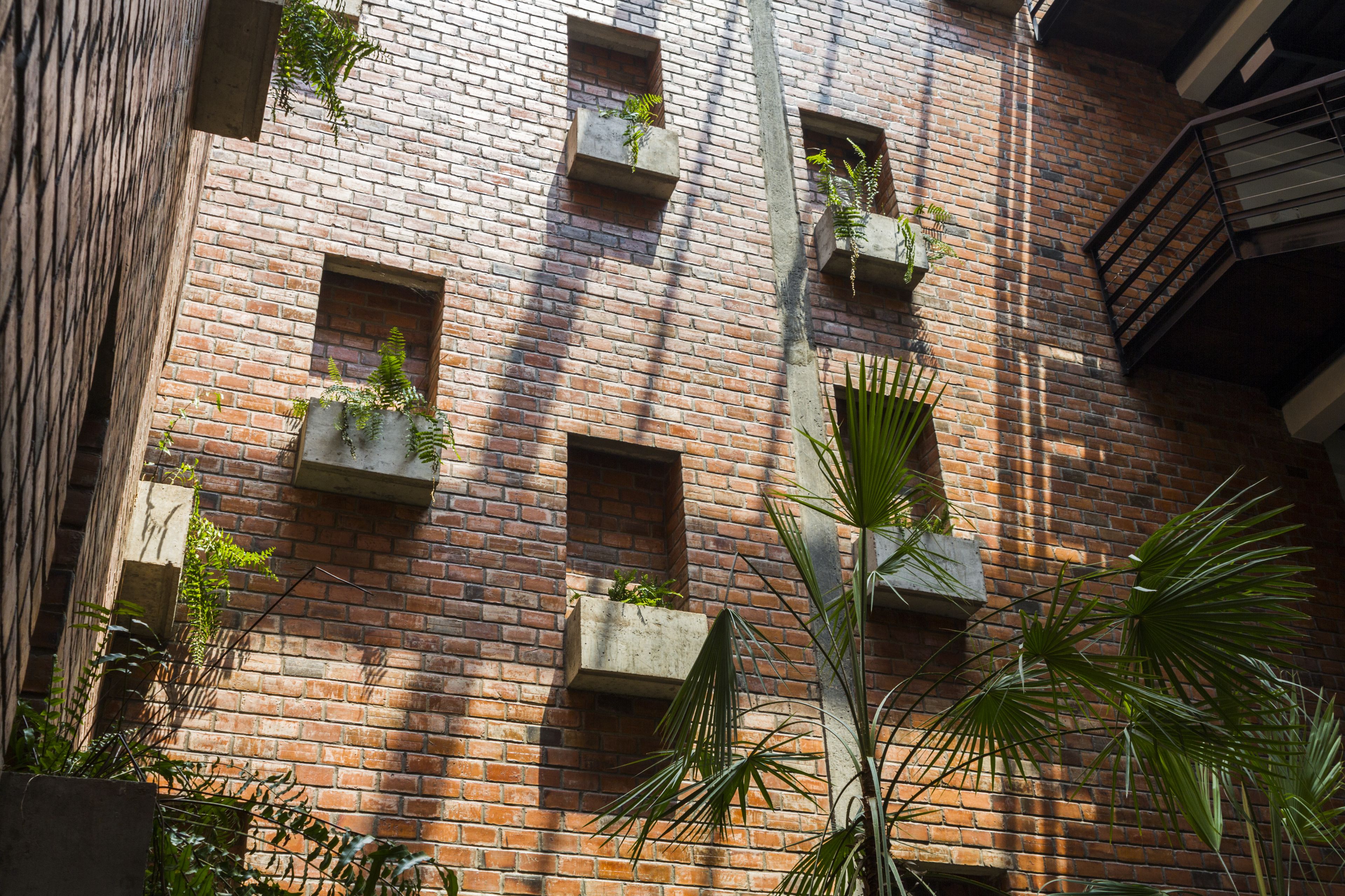 tailorbird standard twin room | garden view