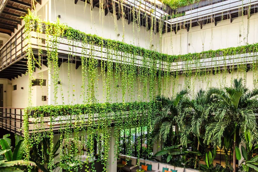 The Aviary Hotel