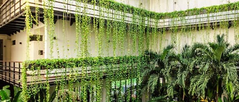 2 albercas al aire libre y camastros