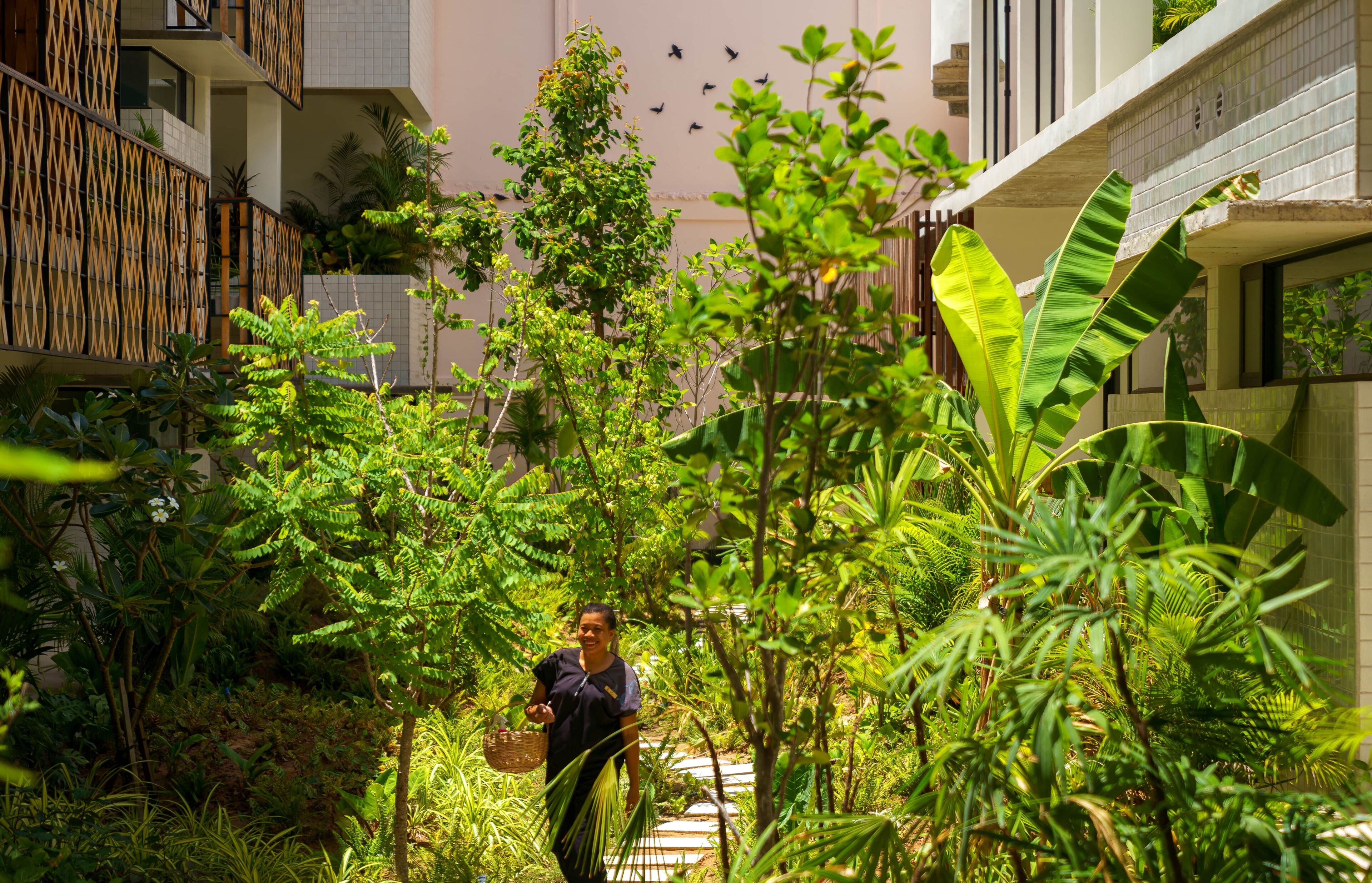 Garden view