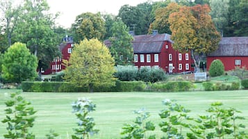 Trädgård