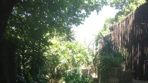 Courtyard - Uxolo Guesthouse (Johannesburg)