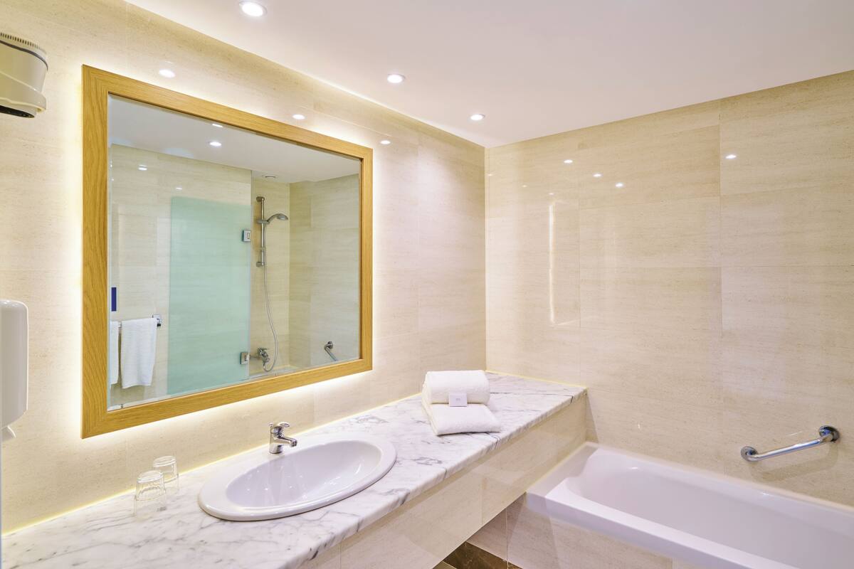 combined shower/bathtub, free toiletries, hair dryer, towels