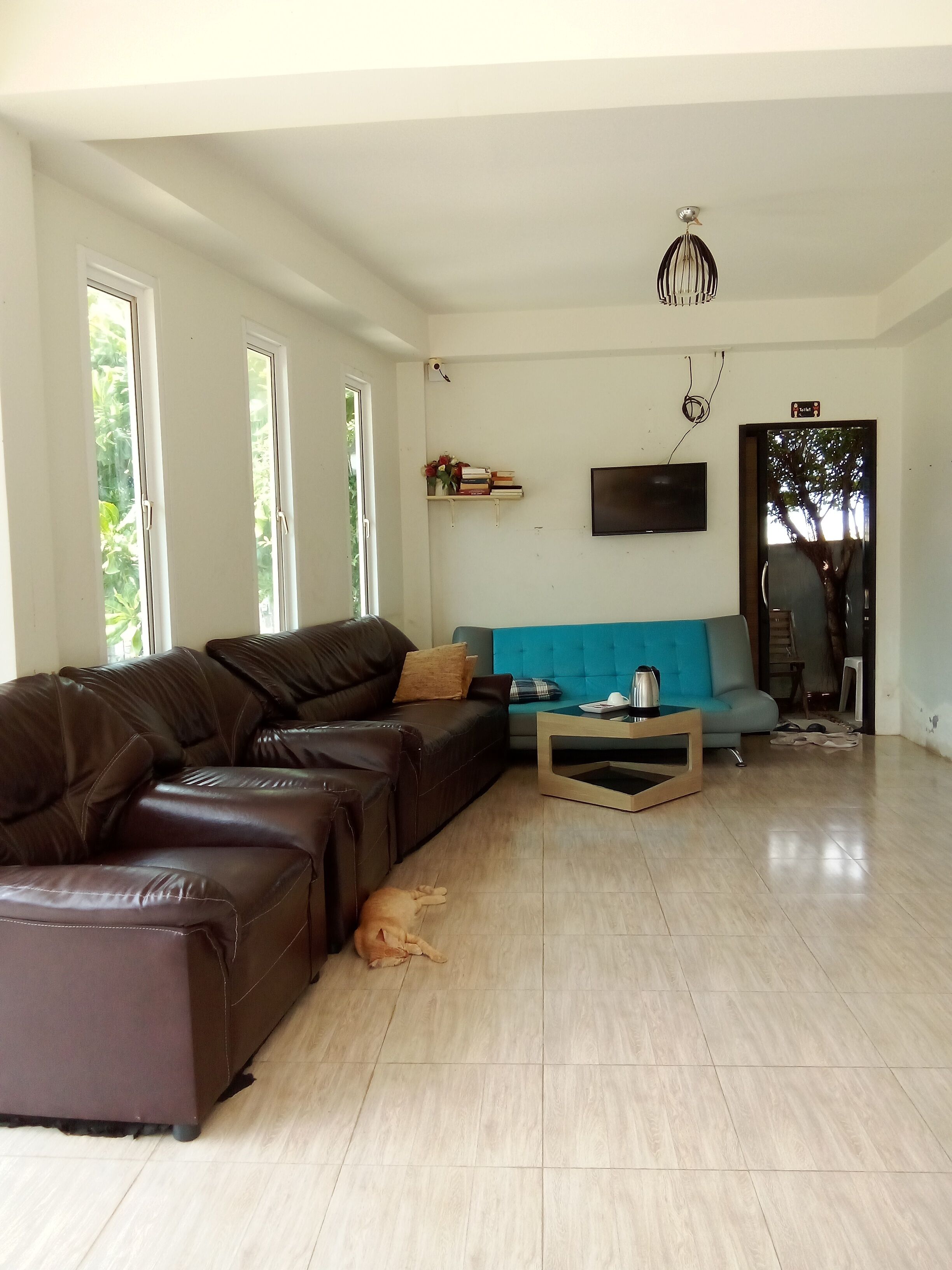 A living room with a brown leather sofa, a blue sofa, a coffee table, and a dog lying on the floor.