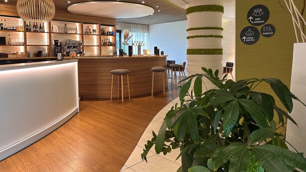 Een moderne bar met houten vloer, een gebogen toonbank en barstoelen. Er staan planken met flessen en glazen, en een grote plant op de voorgrond.