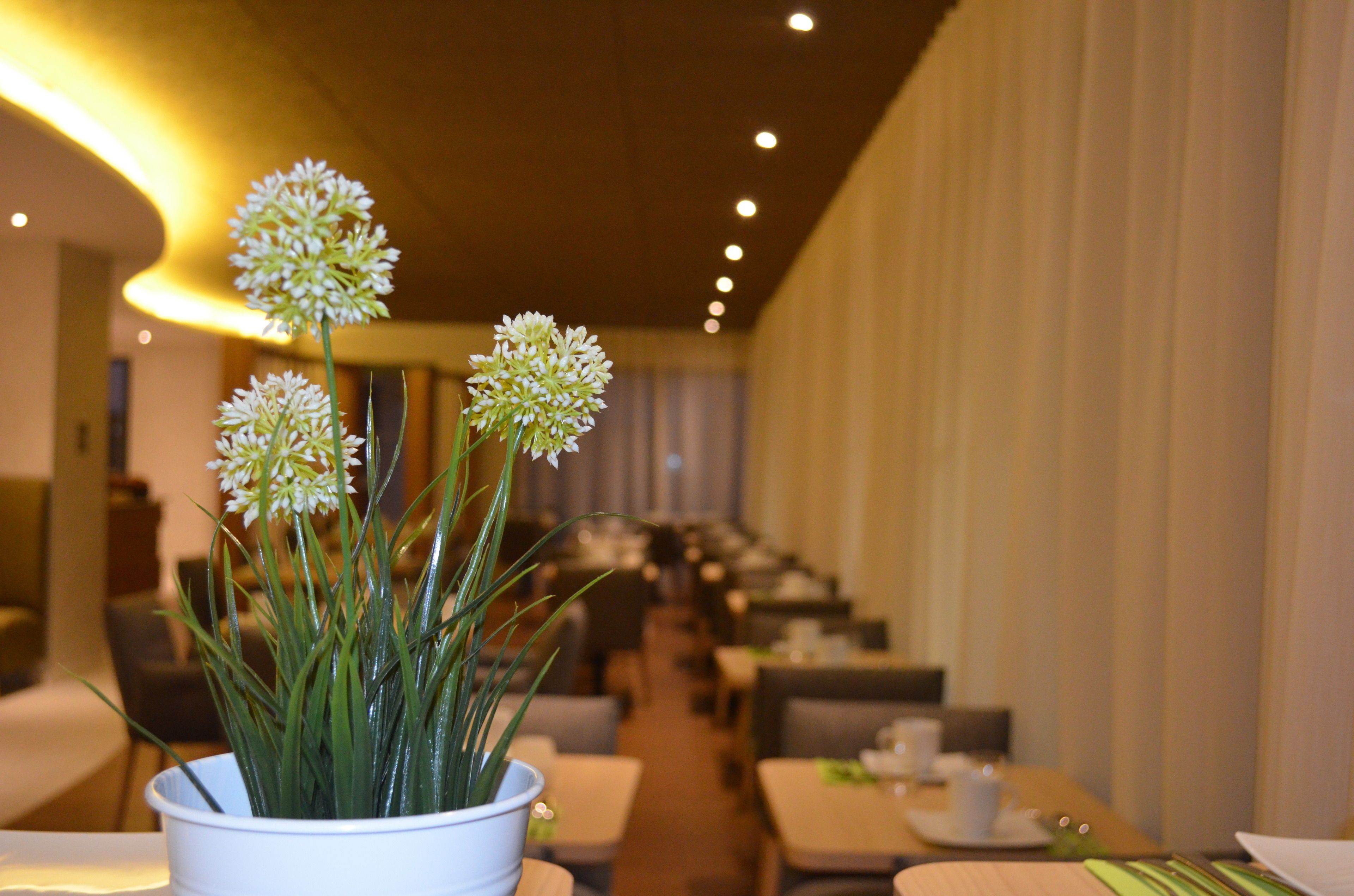 daily buffet breakfast (eur 14.50 per person)