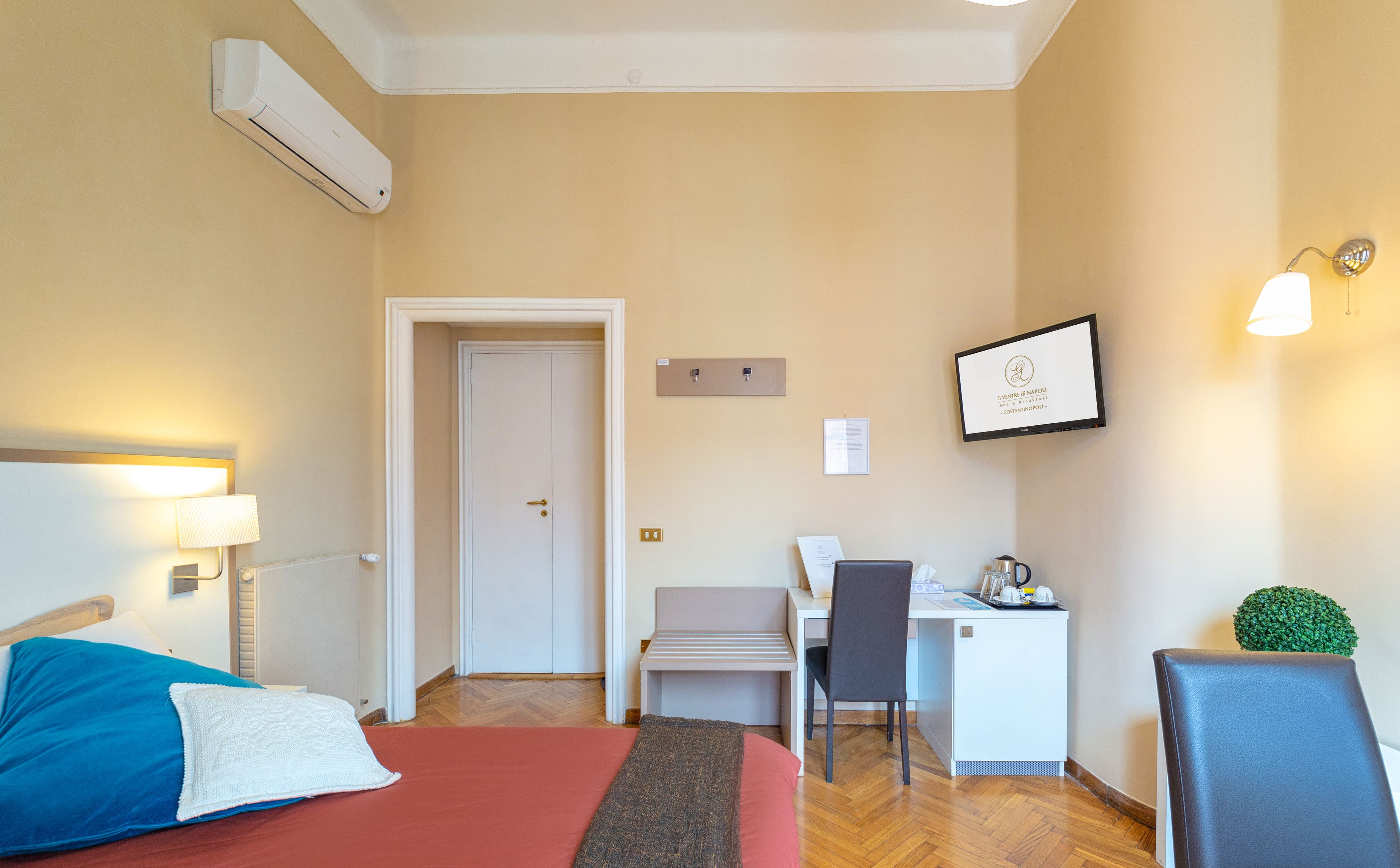 A hotel room with a bed, desk, chair, and a small plant.