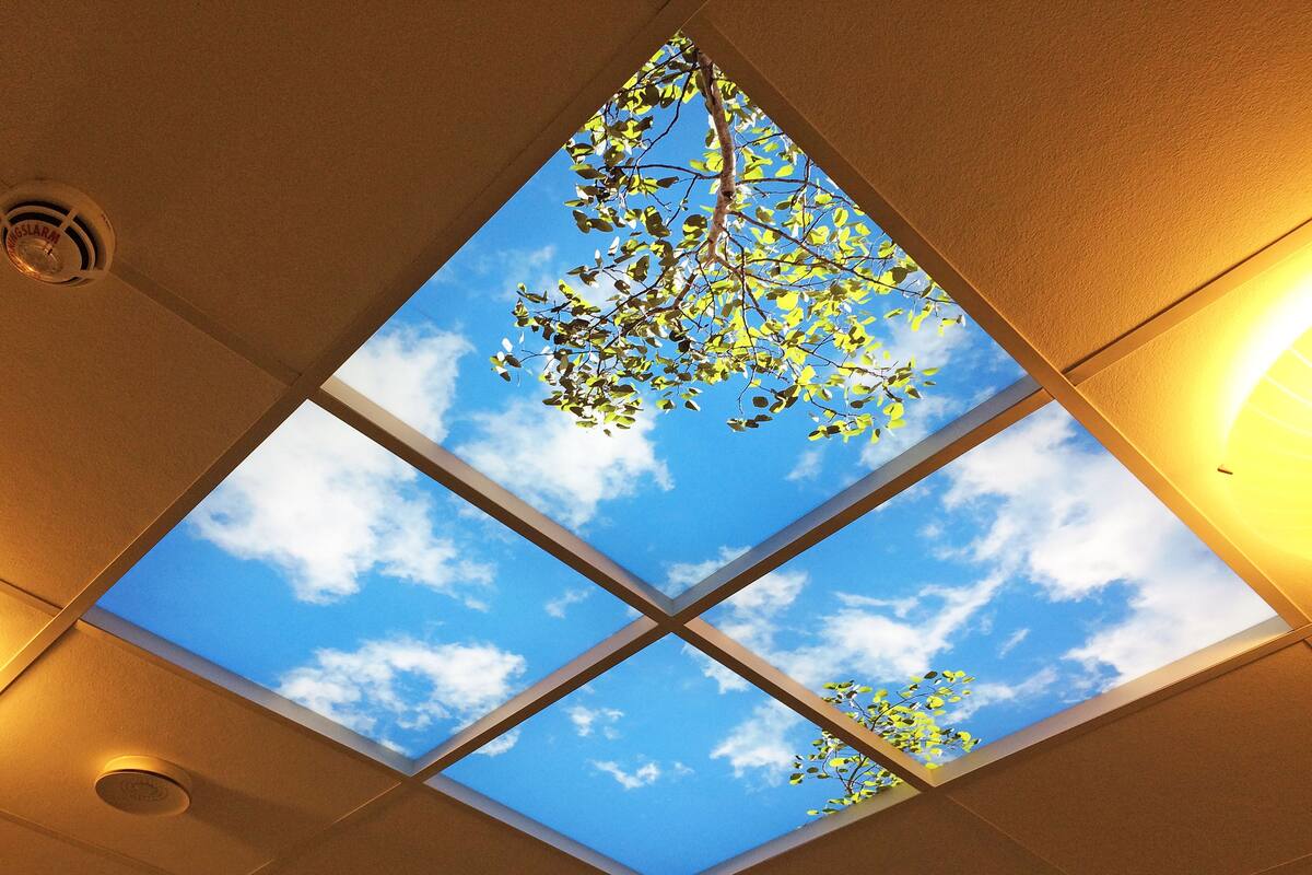 Ein Oberlicht mit einem Ast und Blättern vor blauem Himmel.