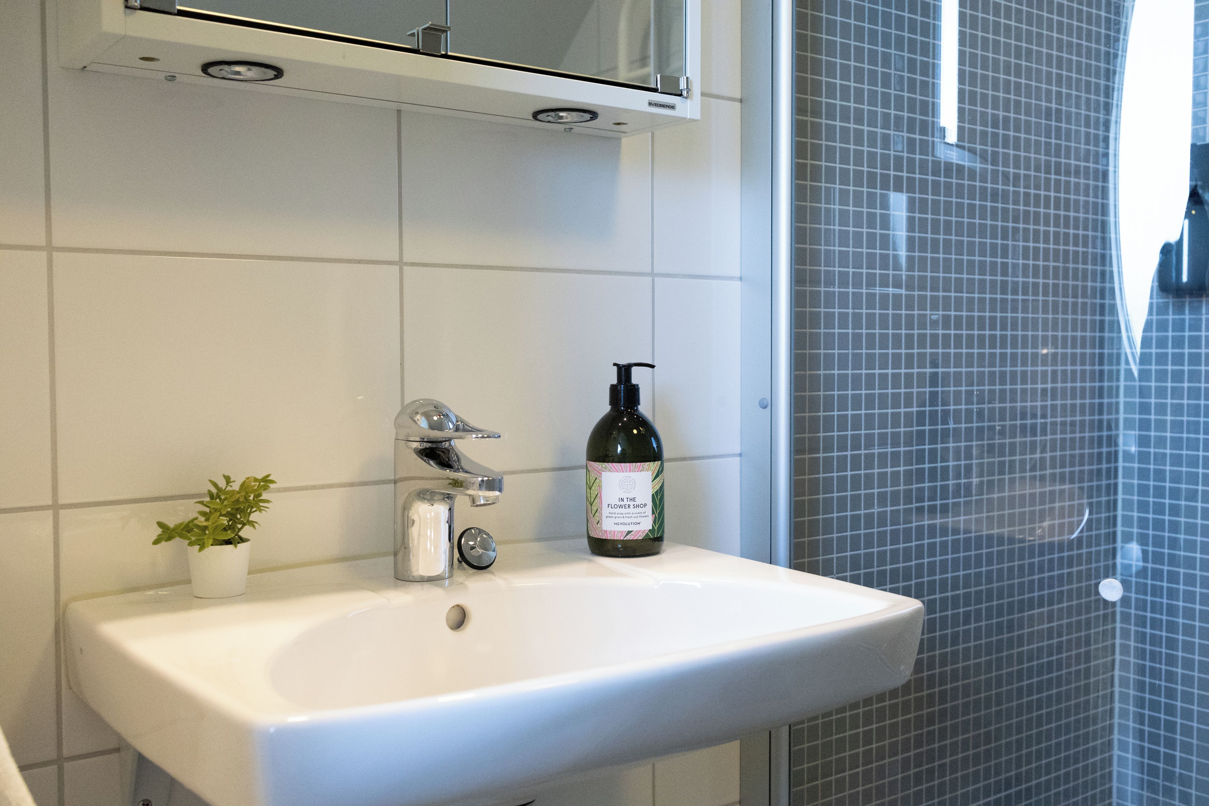Un baño con un lavamanos blanco, una pequeña planta en maceta, un dispensador de jabón y una botella de jabón para manos.