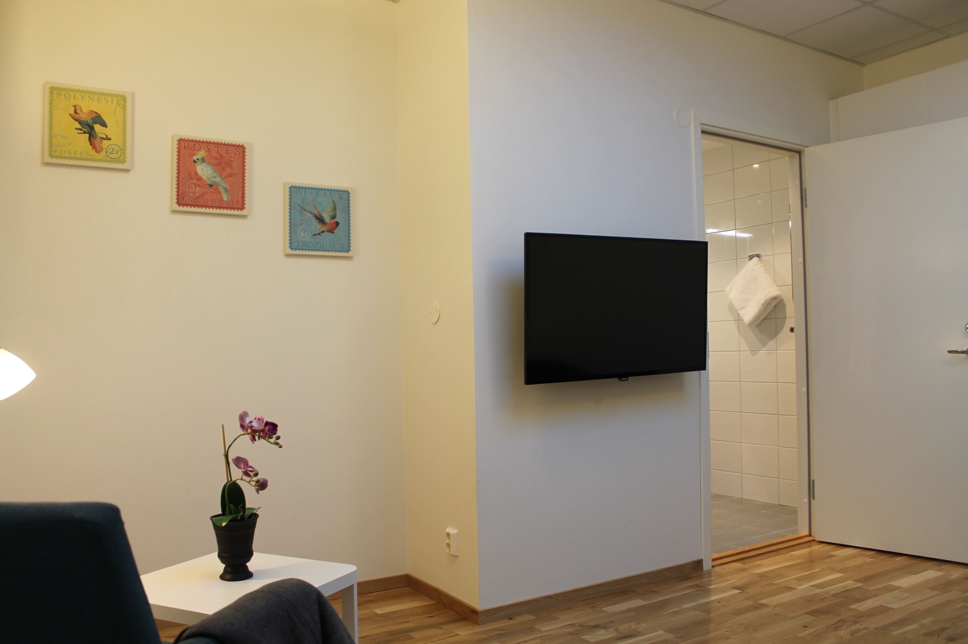 Huoneessa on seinälle asennettu taulutelevisio, pienellä pöydällä on ruukkuorkidea ja seinällä on kolme kehystettyä kuvaa.