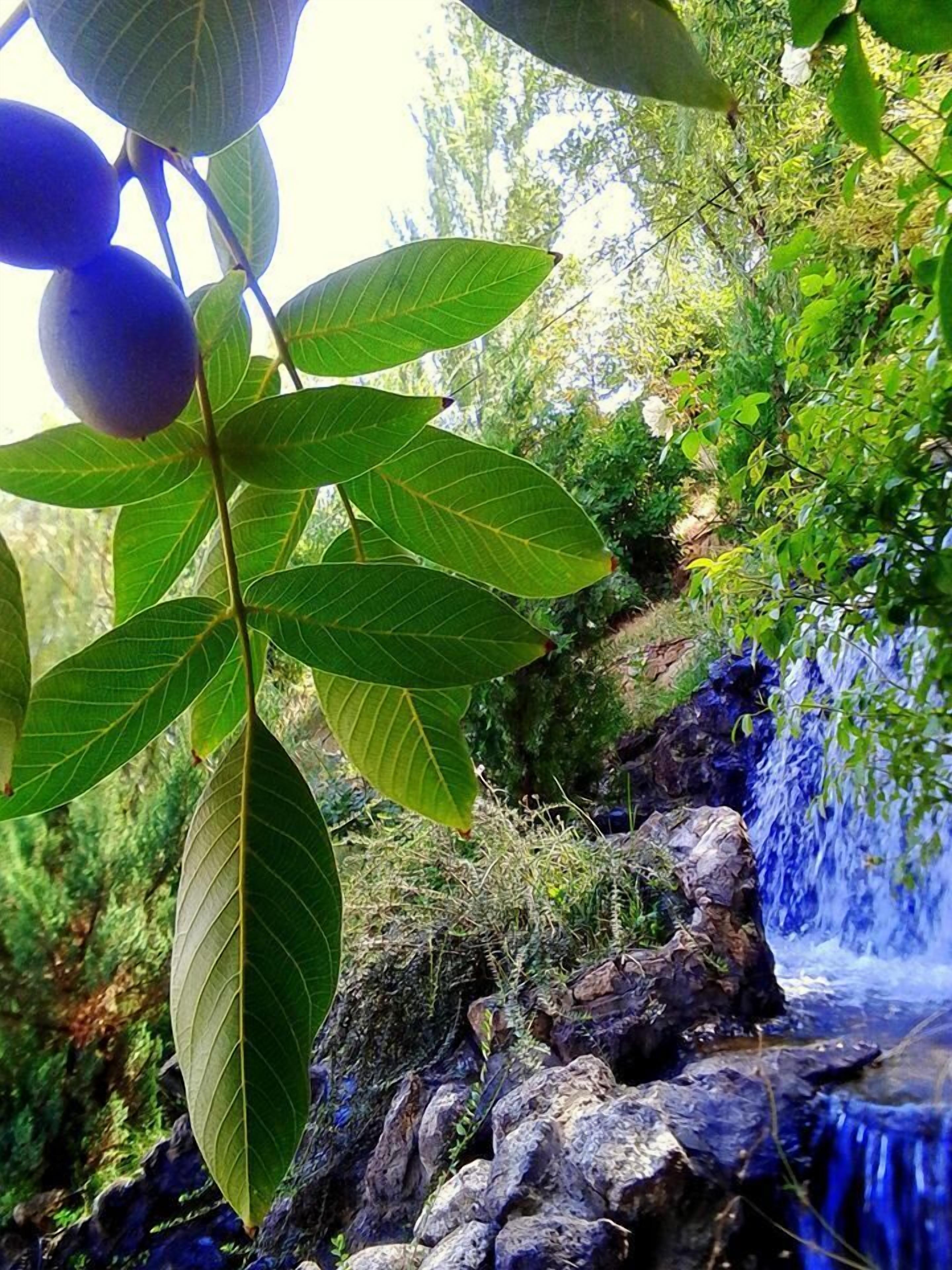 Foto - Park Avenue Hotel Yerevan