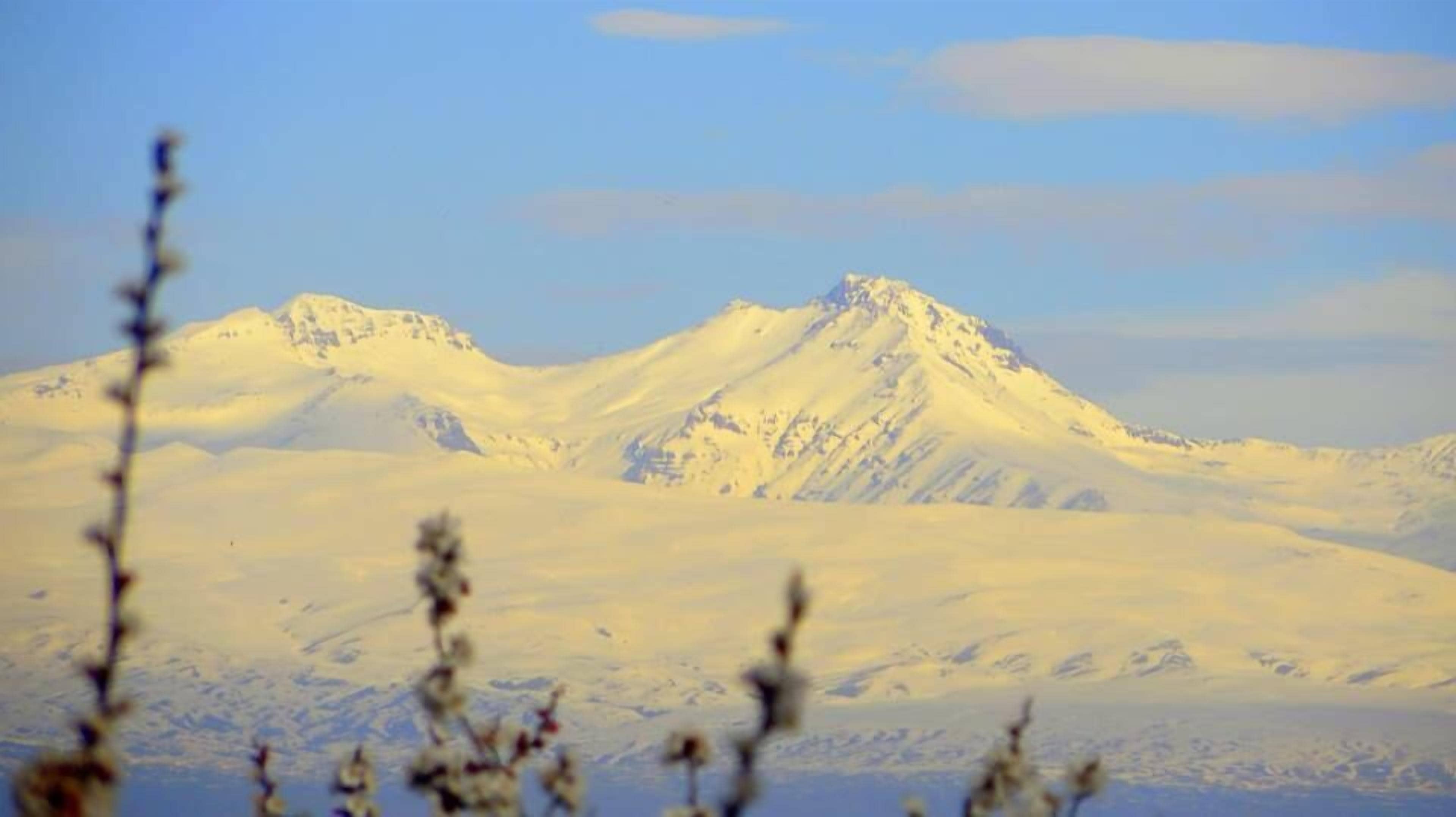 Foto - Park Avenue Hotel Yerevan