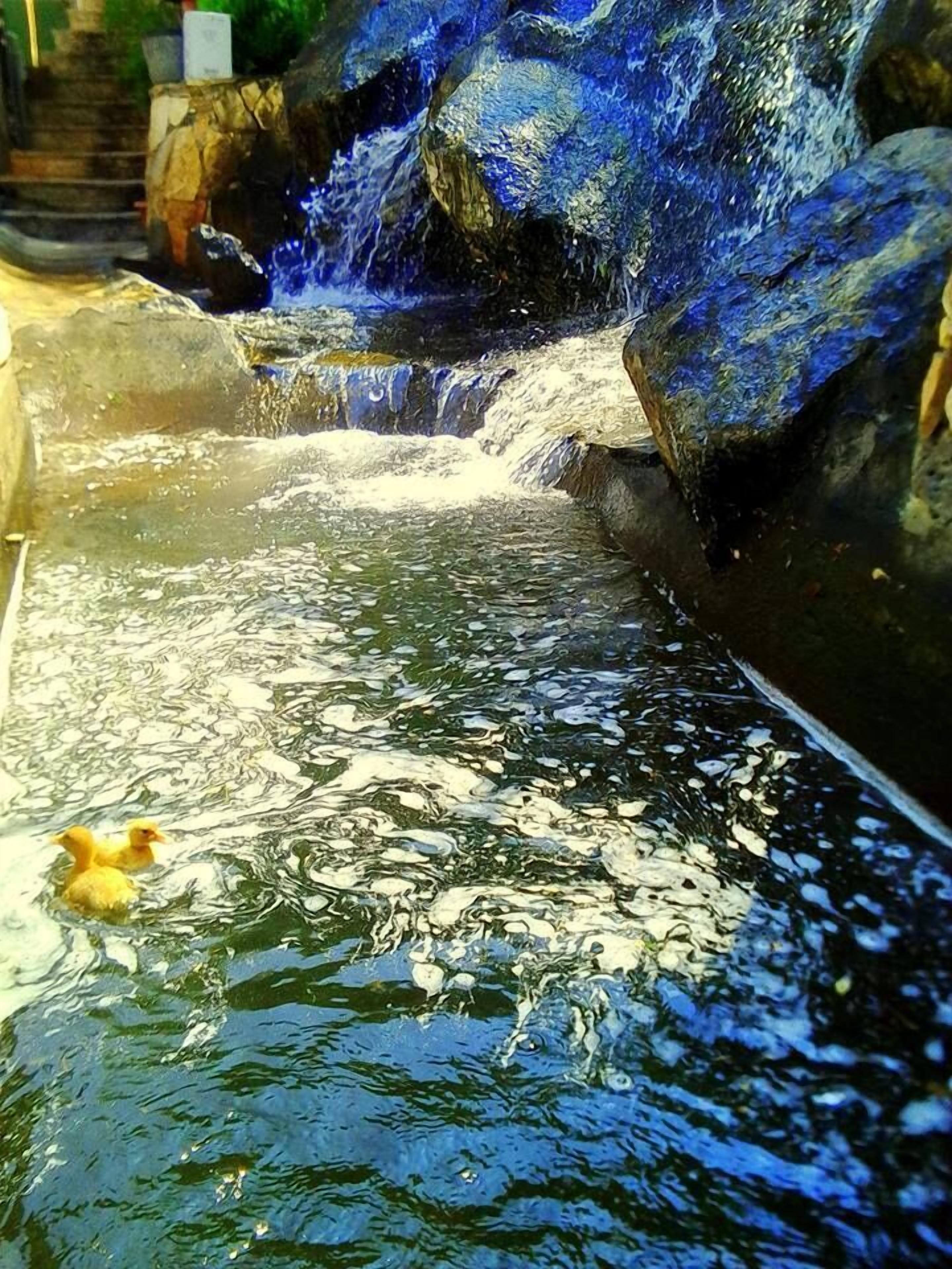 Foto - Park Avenue Hotel Yerevan