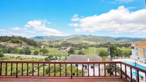 Un balcón con vistas a un viñedo y montañas.