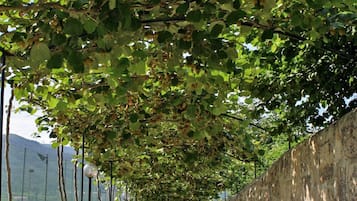 Jardín