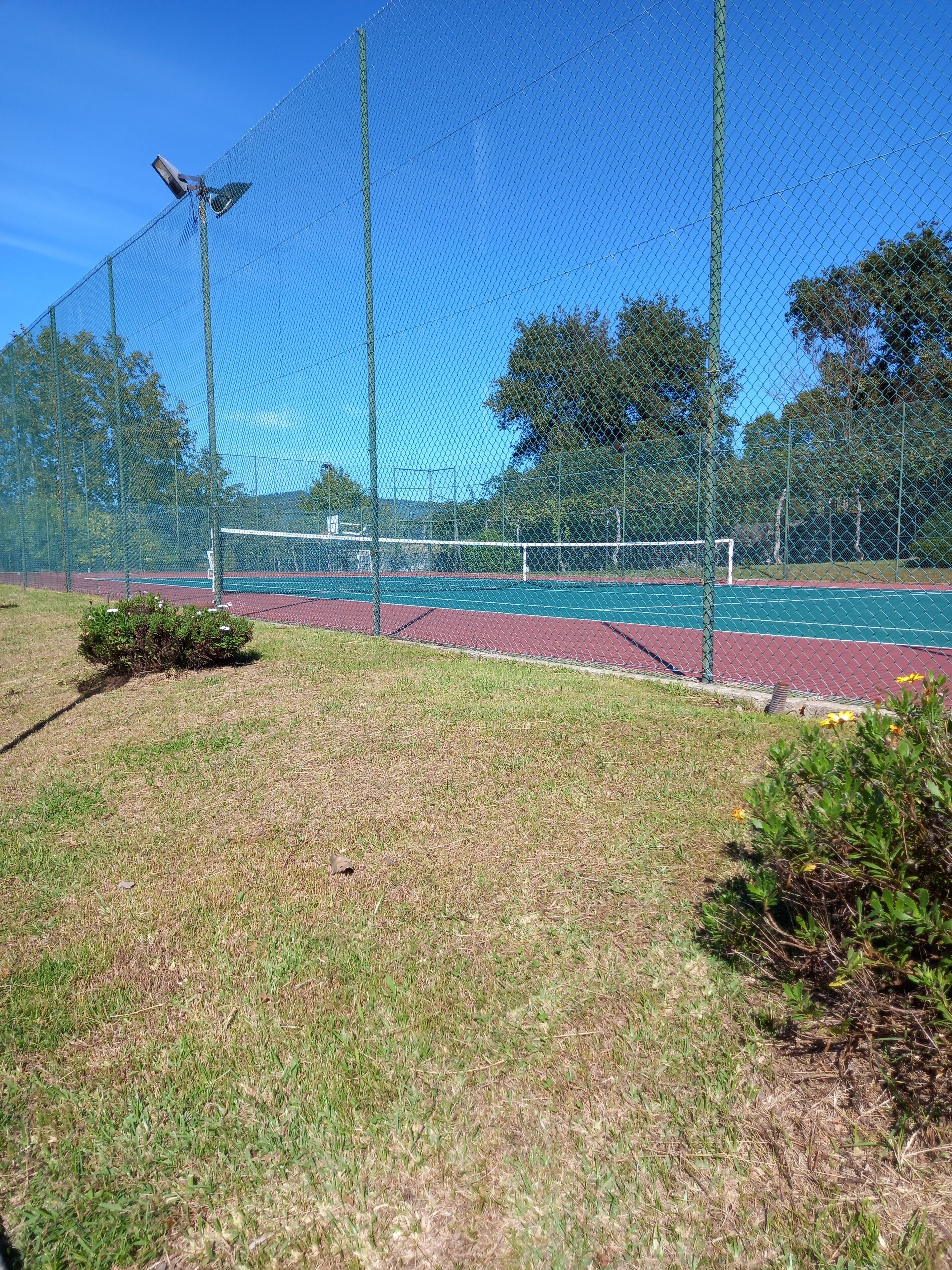 Una cancha de tenis cercada con red, rodeada de árboles y un cielo despejado.