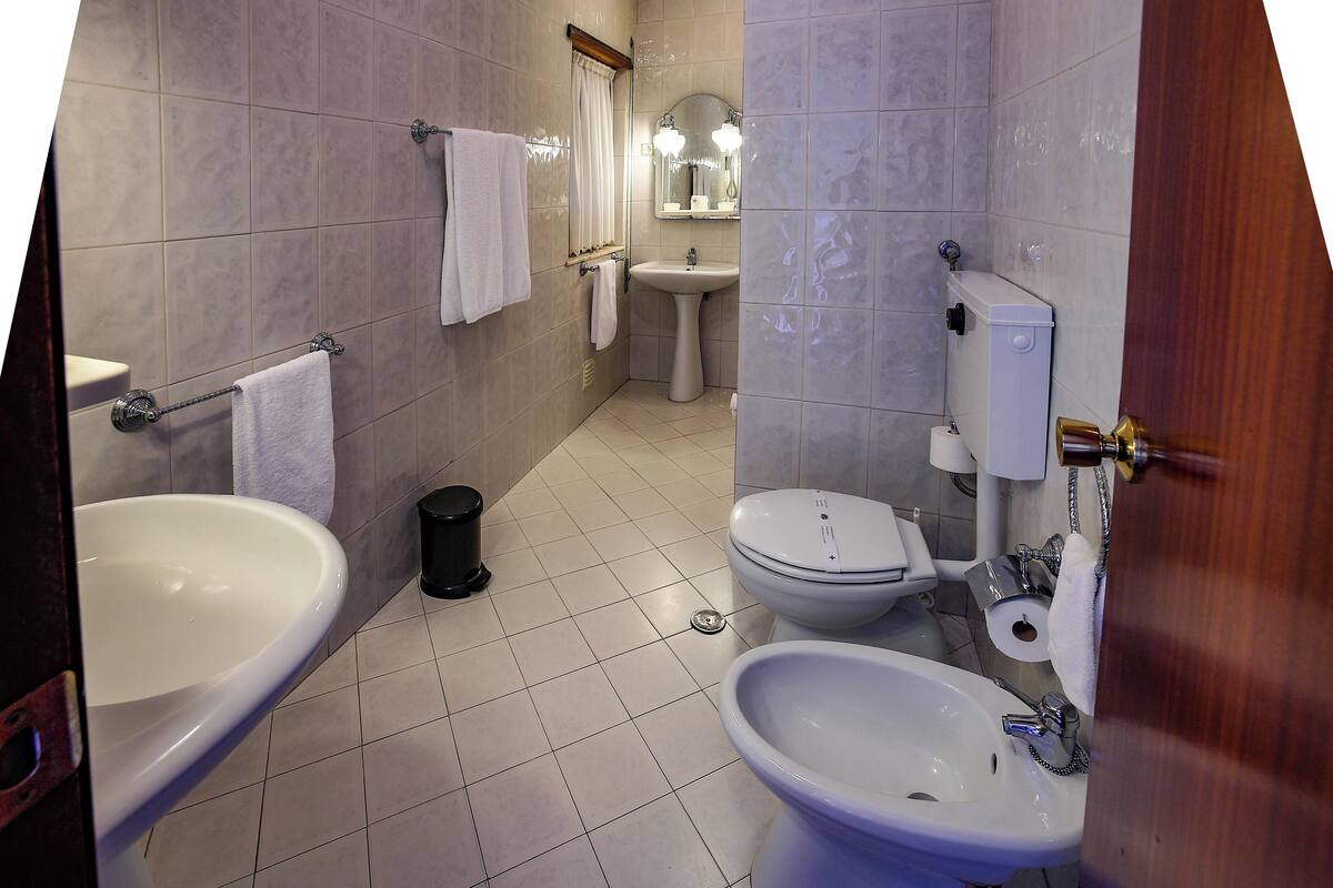 deep-soaking bathtub, free toiletries, hair dryer, bidet