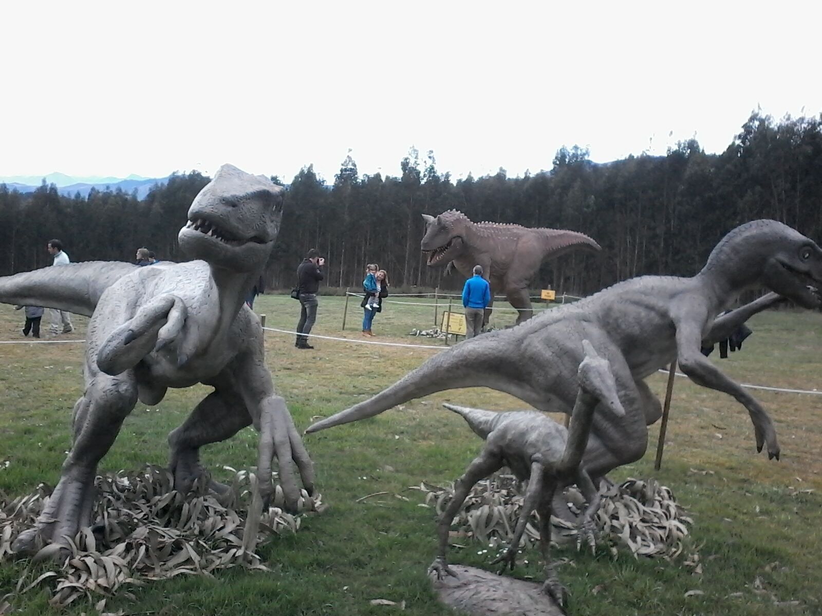 Foto - Casa Rural Ablanos de Aymar
