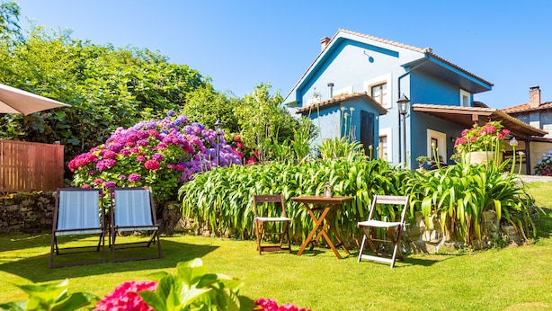 A house with a blue exterior, surrounded by lush greenery and flowering plants.
