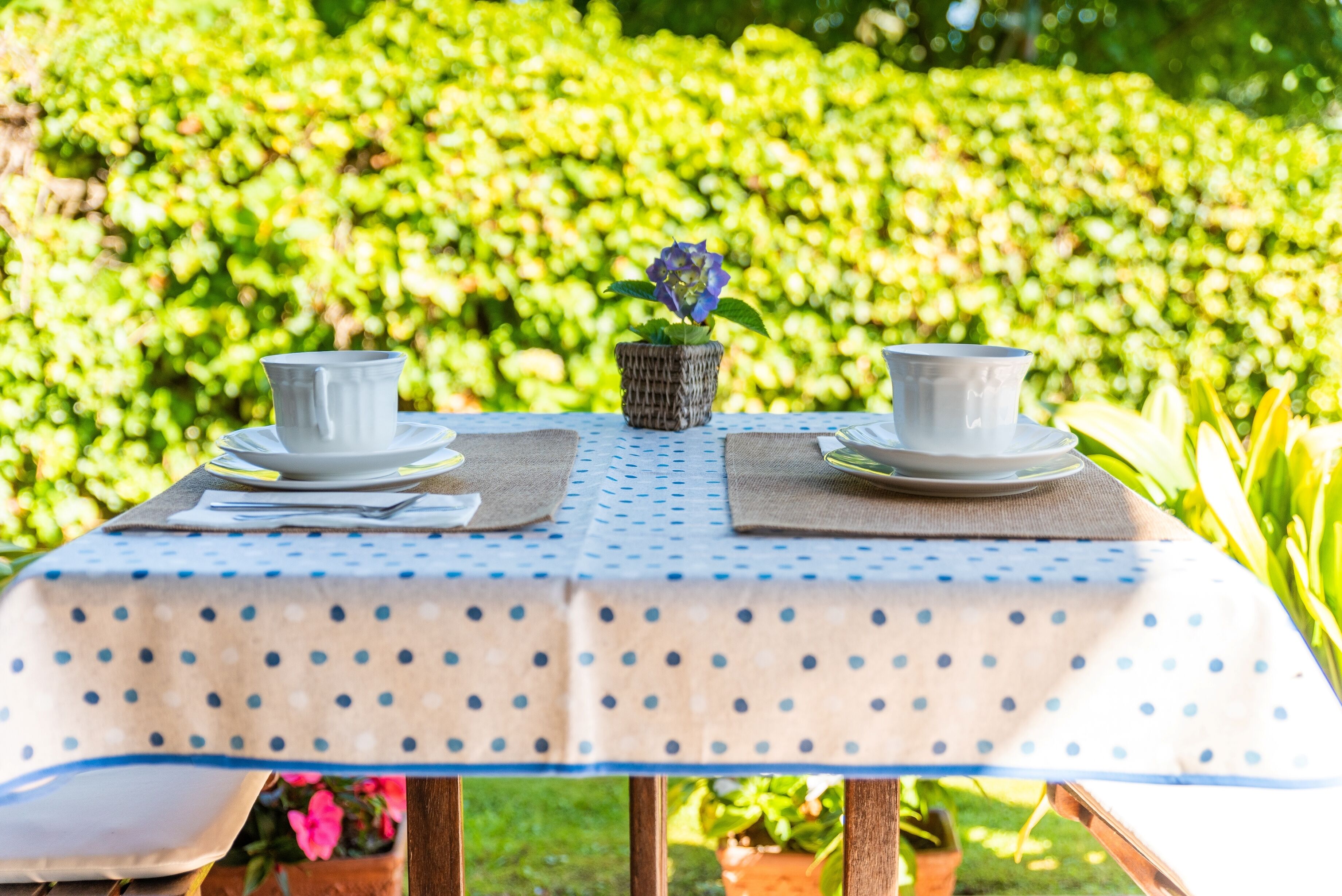 Una mesa con dos tazas y platillos blancos, una pequeña cesta tejida con una flor azul, y un mantel a lunares.