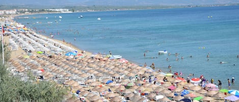 Una playa cerca