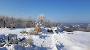 ์ผ์ธ ์คํ ์์กฐ