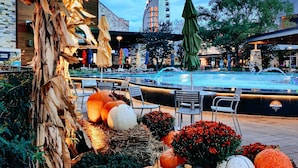 An outdoor pool area with lounge chairs and a fountain, surrounded by decorative pumpkins and foliage. - Hilton Garden Inn The Colony Dallas (The Colony)