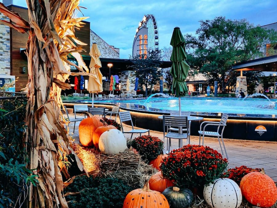 An outdoor pool area with lounge chairs and a fountain, surrounded by decorative pumpkins and foliage.