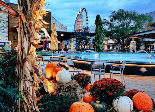 Hilton Garden Inn The Colony Dallas