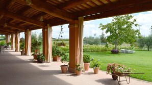 A covered outdoor area with a wooden ceiling, potted plants, and a wheelbarrow with flowers. - La Fornasaccia (Cesena)