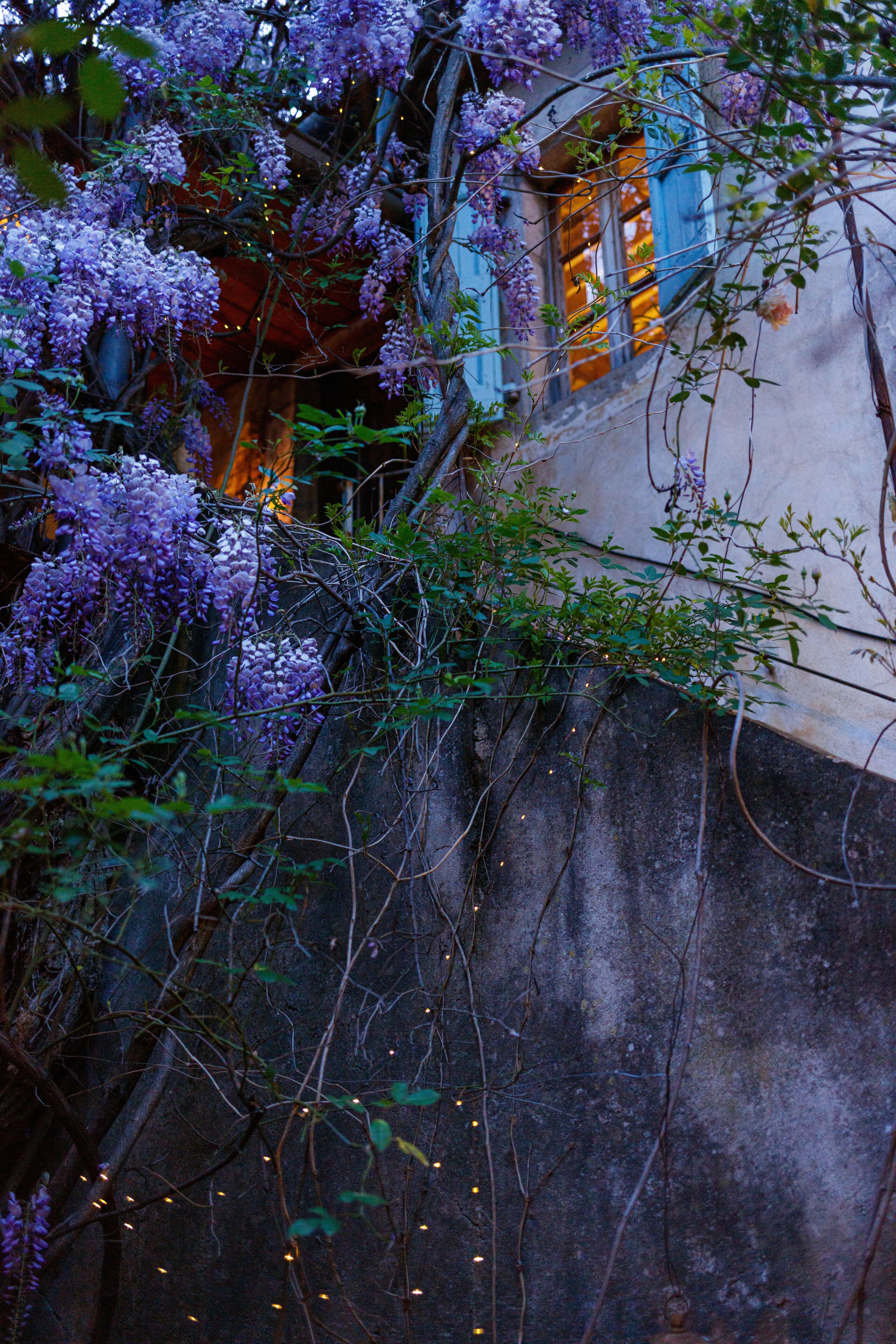 Un edificio con muro de piedra y enredaderas moradas en flor.