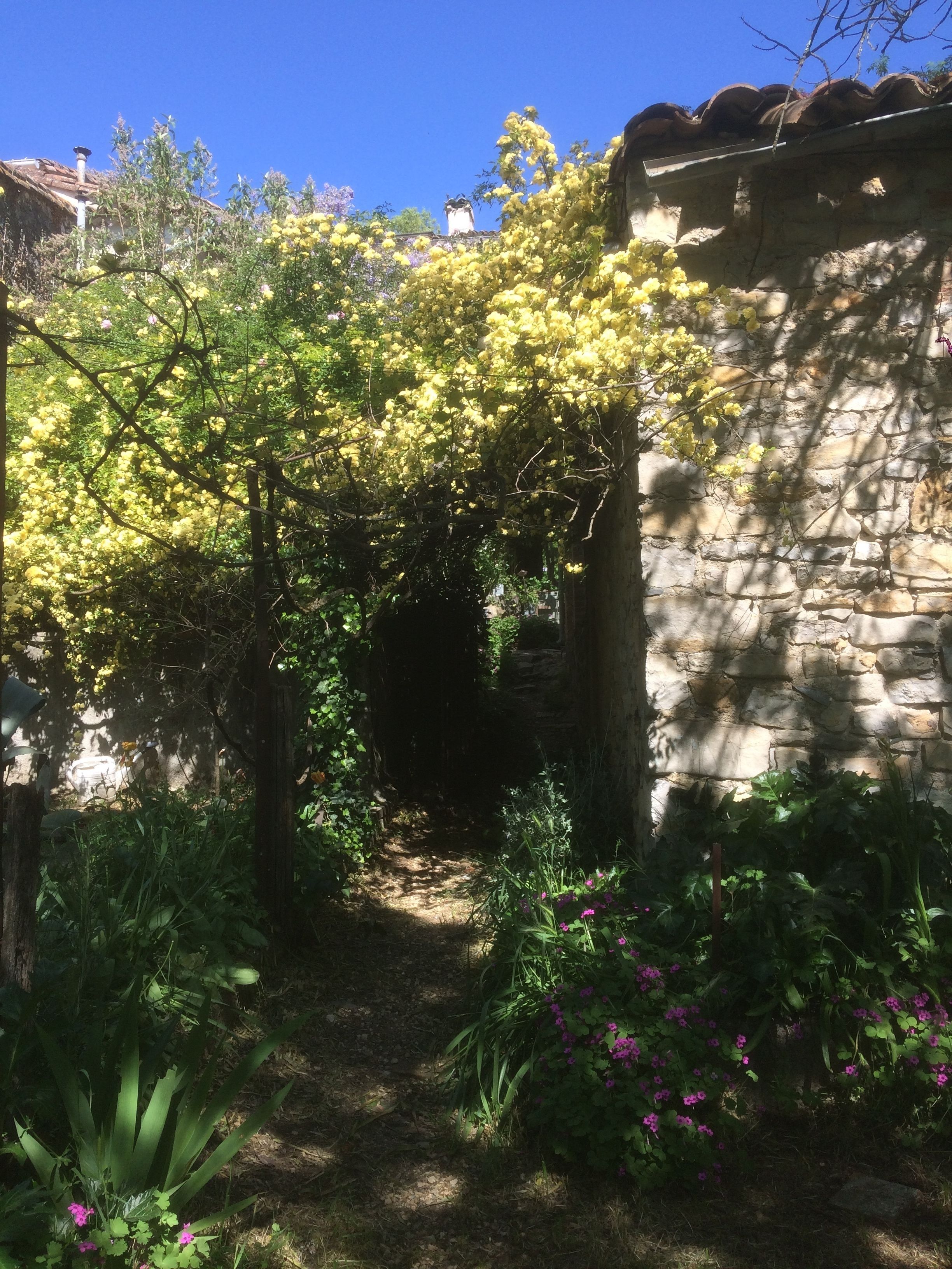 Un sentier de jardin menant à un mur de pierre, agrémenté de plantes et d’arbres en fleurs.