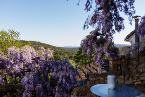 Terrace/patio - La Vieille Maison - Chambre et Halte Gourmande (Durfort-et-Saint-Martin-de-Sossenac)