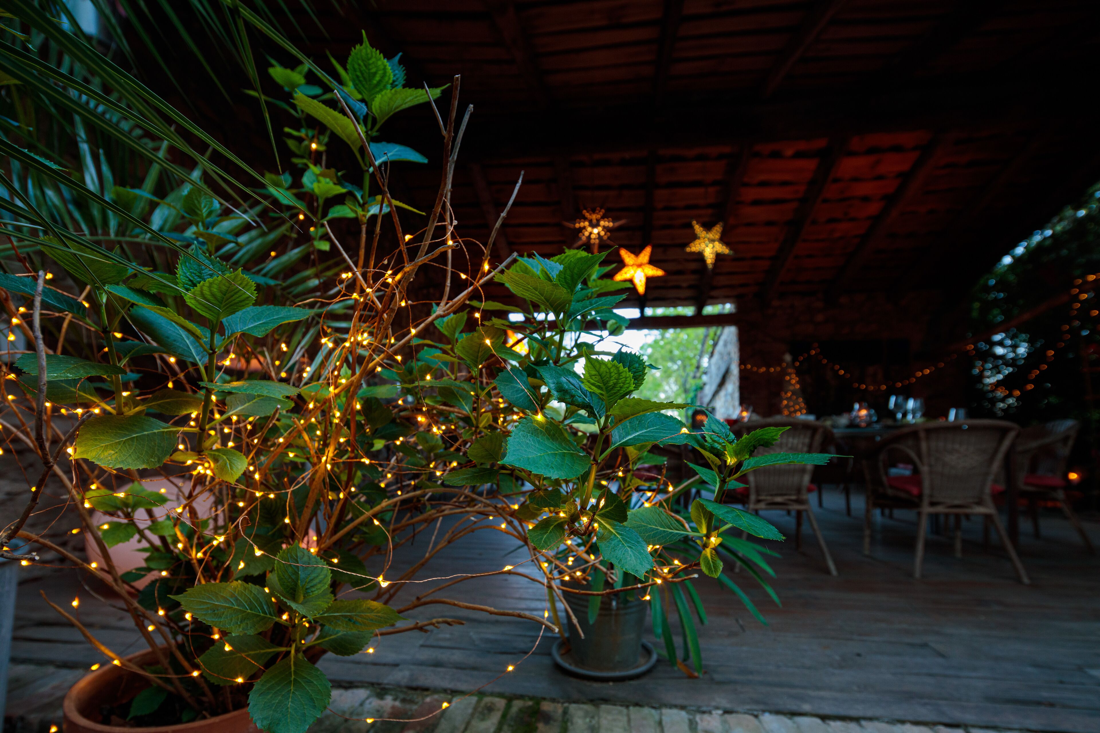 Une plante en pot, décorée de guirlandes lumineuses et d’ornements en forme d’étoile, placée sur une terrasse en bois.